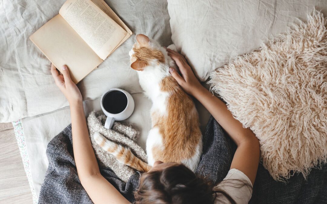 Navigating Winter Comfort: A Guide to Common HVAC Issues and Solutions